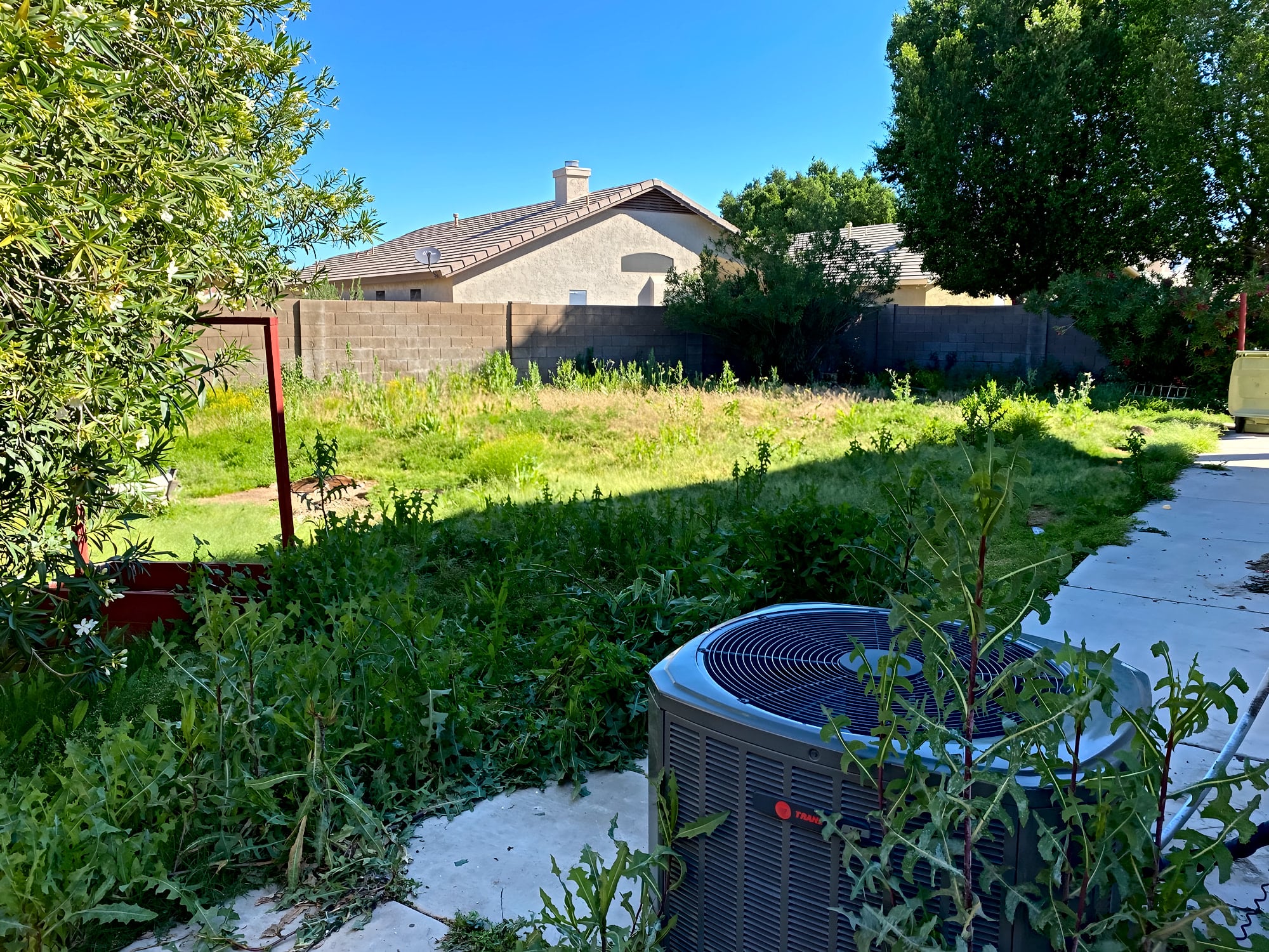 Overgrown Peoria yard being cleared of weeds